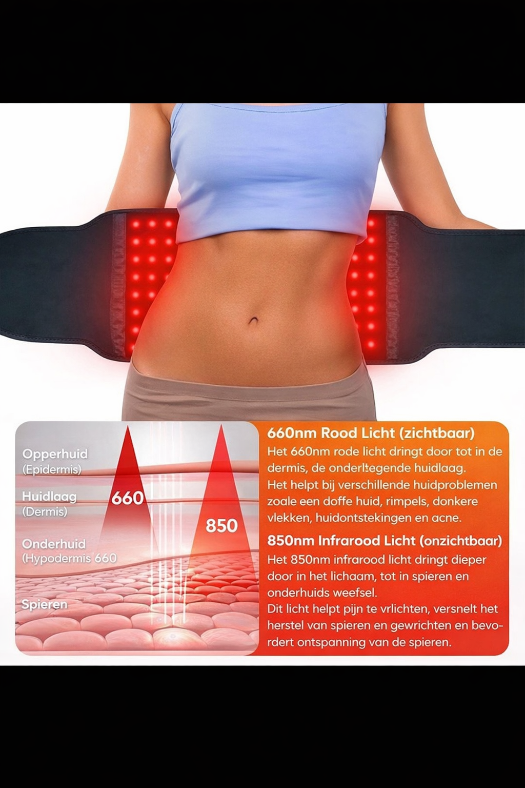 LED Infrarood Therapie Gordel - Rug & Spier Herstel